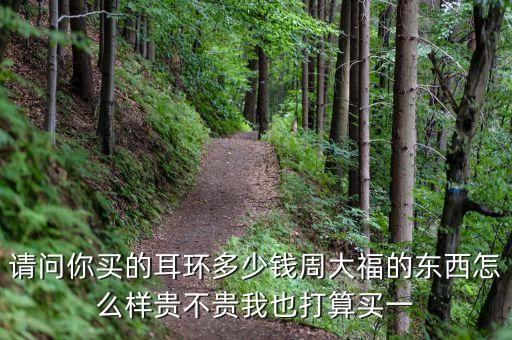 周大福新品耳飾，請問你買的耳環(huán)多少錢周大福的東西怎么樣貴不貴我也打算買一...
